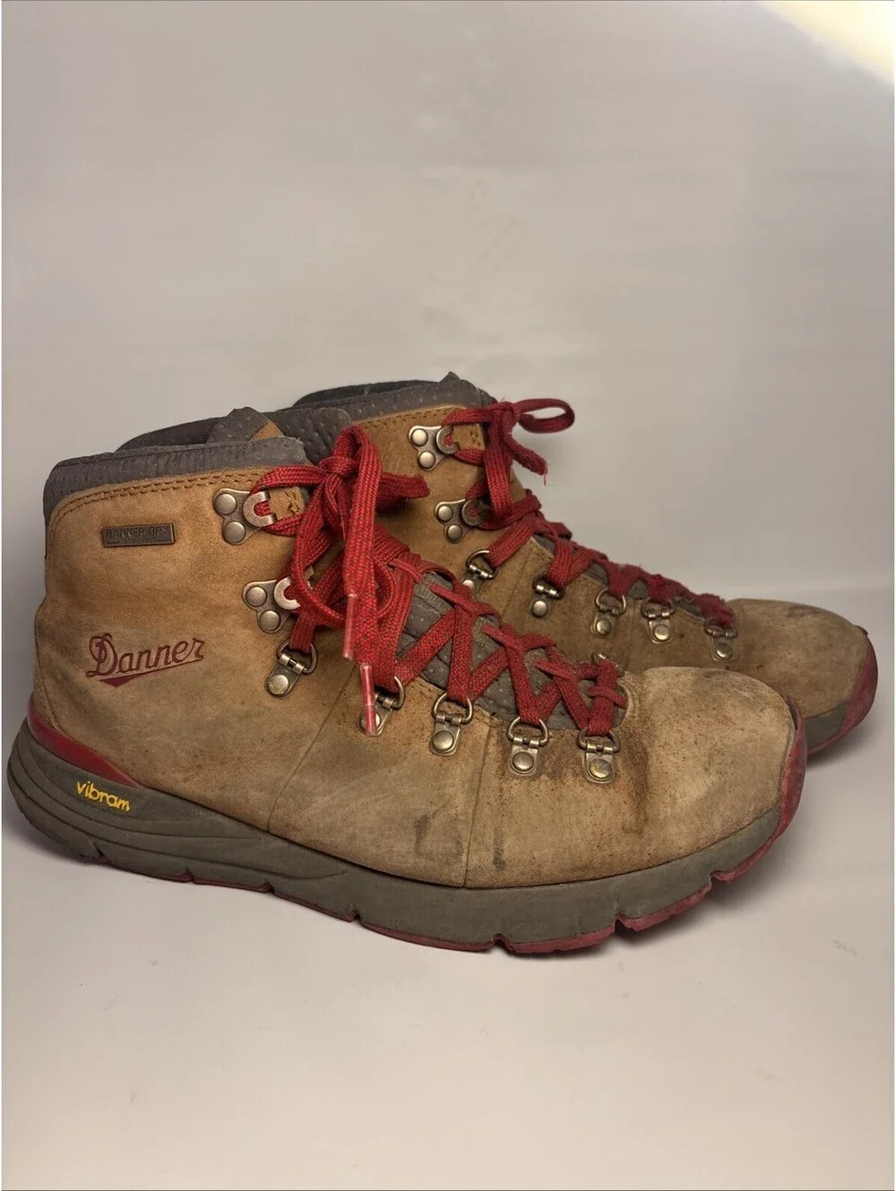Danner Men’s Mountain 600 4.5